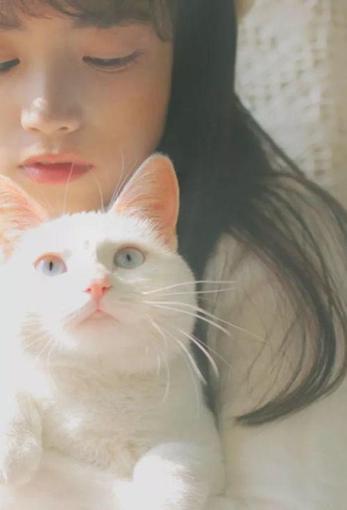 猫脸女孩爆料视频大全,揭秘神秘面纱背后的真相